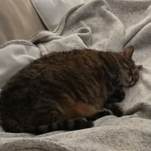 Meet your Posher, Nancy